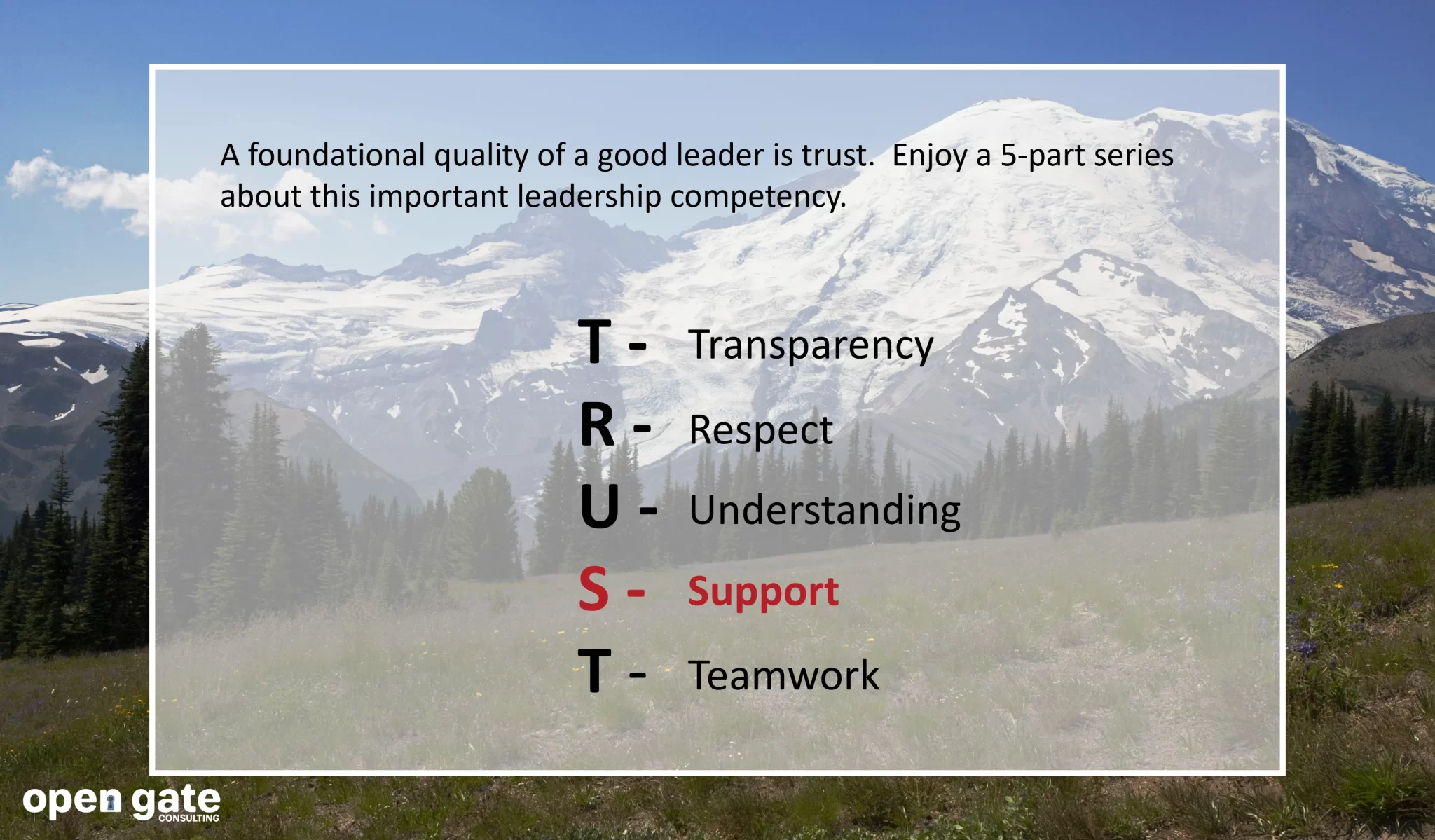 Trust4_Website.webp
