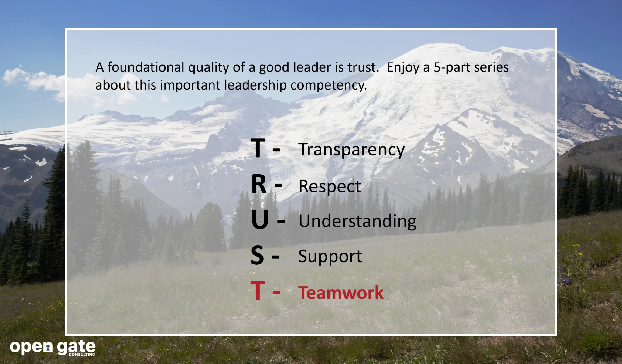 Trust5_Website.webp
